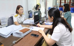 Hà Nội triển khai chiến dịch làm sạch mã số thuế
