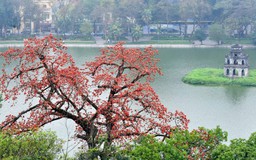 Nối mạch nguồn tri ân từ hồ Gươm đến Thạch Hãn