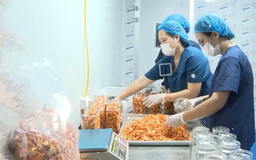 Đổi mới tạo động lực cho sản phẩm nông sản 'cất cánh' | Nông nghiệp và Môi trường | 19/07/2026