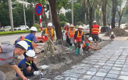 Cải tạo, nâng cấp vỉa hè phố Hàm Nghi