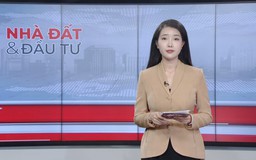 Bản tin Nhà đất và đầu tư | 23/07/2026