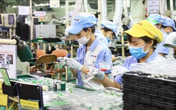 Thu hút FDI phải gắn với chuyển giao công nghệ cho doanh nghiệp nhỏ và vừa