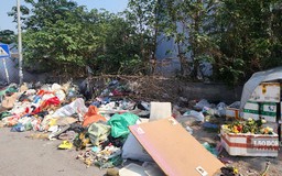 Đổ rác sai giờ, sai quy định, gây ô nhiễm môi trường