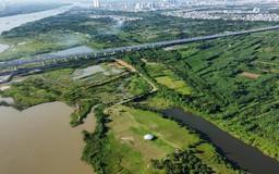 Lặng thầm giữ màu xanh Thủ đô