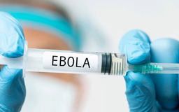 Anh: Thử nghiệm lâm sàng vắc-xin Ebola đầu tiên trên người