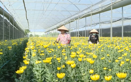 Chuyển đổi xanh trong sản xuất nông nghiệp | Nông nghiệp và Môi trường | 26/07/2026