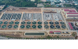 Từ xử lý ô nhiễm đến phục hồi hệ sinh thái các dòng sông