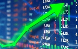 Thị trường chứng khoán phục hồi mạnh, VN-Index lấy lại mốc 1.700 điểm