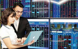 Chiến lược chọn cổ phiếu khi thị trường phân hóa