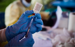 WHO thử nghiệm lâm sàng thuốc điều trị chủng Ebola