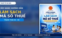 Thuế thành phố Hà Nội: Người nộp thuế tự rà soát mã số thuế
