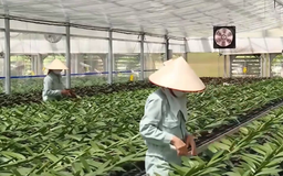 Hà Nội thúc đẩy chuyển đổi xanh, nông nghiệp đa giá trị