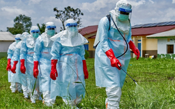Liên hợp quốc cảnh báo dịch Ebola lây lan nhanh ở Congo