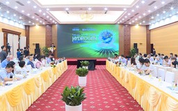 Việt Nam có khả năng sản xuất 500.000 tấn hydrogen vào 2030