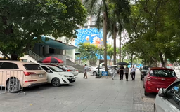 Đỗ xe tràn lan trên phố Hoàng Đạo Thúy