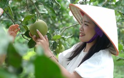 Nông nghiệp đa giá trị - Động lực bứt phá bền vững