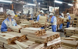 Ngành gỗ sản xuất xanh để nâng cao sức cạnh tranh