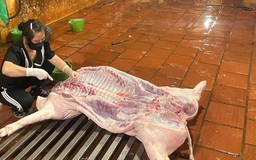 Xử lý hai cơ sở giết mổ lợn hoạt động trái quy định