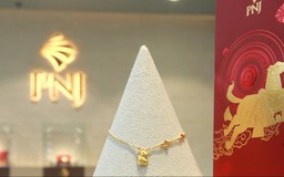 PNJ lỗ kỷ lục, cổ phiếu tiếp tục giảm mạnh