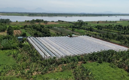 Tạo hành lang pháp lý khai thác hiệu quả quỹ đất bãi sông