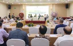 Bảo tồn bản sắc văn hoá trong quy hoạch đô thị - nông thôn