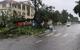 Quảng Ninh tổng lực khắc phục hậu quả bão số 1