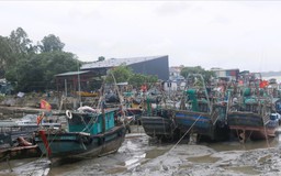 Bão số 1 làm gãy cây, trôi bè nuôi hải sản tại Quảng Ninh