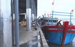 Phần lớn tàu thuyền Ninh Bình đã vào nơi tránh trú an toàn