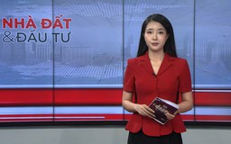 Bản tin Nhà đất và đầu tư | 06/07/2026
