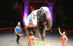 Nơi lưu giữ những giấc mơ tuổi thơ | Người Hà Nội | 08/07/2026