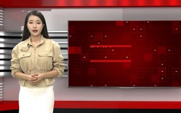 Bản tin 141 | 07/07/2026