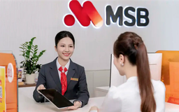 MSB báo lãi hơn 3.400 tỷ đồng nửa đầu năm