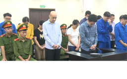 Vụ Mediphar: Hai cựu lãnh đạo hải quan lĩnh 13 năm tù