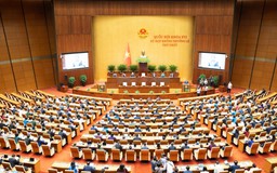 Cần làm rõ ranh giới giữa hòa giải và xử lý vi phạm pháp luật