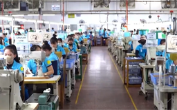 Từ 10/9, vi phạm quy định về giờ làm việc bị phạt tới 75 triệu đồng