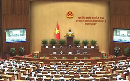Đảm bảo quyền lợi cho người lao động Việt Nam đi làm việc ở nước ngoài
