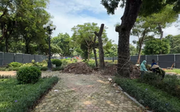 Hà Nội cải tạo Quảng trường trước Công viên Thống Nhất