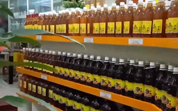 Kết nối đầu tư thúc đẩy phát triển kinh tế xanh | Phóng sự | 09/08/2026
