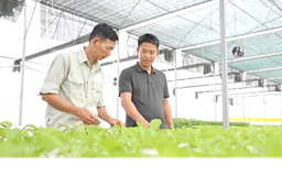Khát vọng xanh trên đồng quê đổi mới | Người tốt quanh ta | 10/08/2026