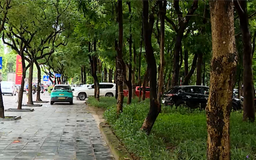 Vỉa hè mới cải tạo bị chiếm dụng tại Hà Nội