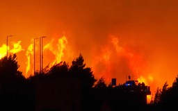 Croatia: Cháy rừng bao trùm thị trấn du lịch Omis