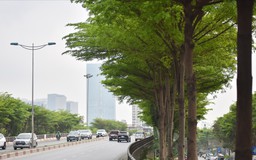 Thời tiết Hà Nội dịu mát