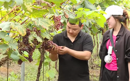 Doanh nghiệp nhỏ và vừa vẫn khó tiếp cận vốn vay