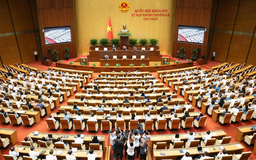 Quốc hội xem xét định hướng hợp nhất Luật Ngân sách Nhà nước, Luật Đất đai
