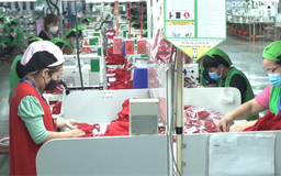 Giảm giờ làm việc gắn với tăng năng suất lao động