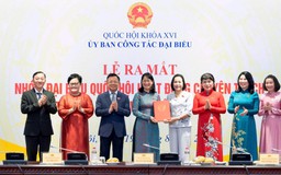 Ra mắt Nhóm đại biểu Quốc hội chuyên trách ở địa phương