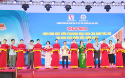Xúc tiến thương mại hợp tác xã khu vực miền Bắc
