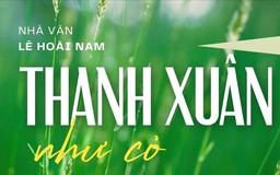 Tiểu thuyết 'Thanh xuân như cỏ' (phần 10) - Lê Hoài Nam