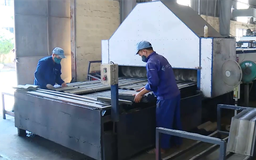 Xanh hóa trong doanh nghiệp ngành vật liệu xây dựng | Chuyển đổi xanh | 01/08/2026