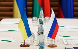 Mỹ thúc đẩy khởi động lại đàm phán hòa bình Nga - Ukraine